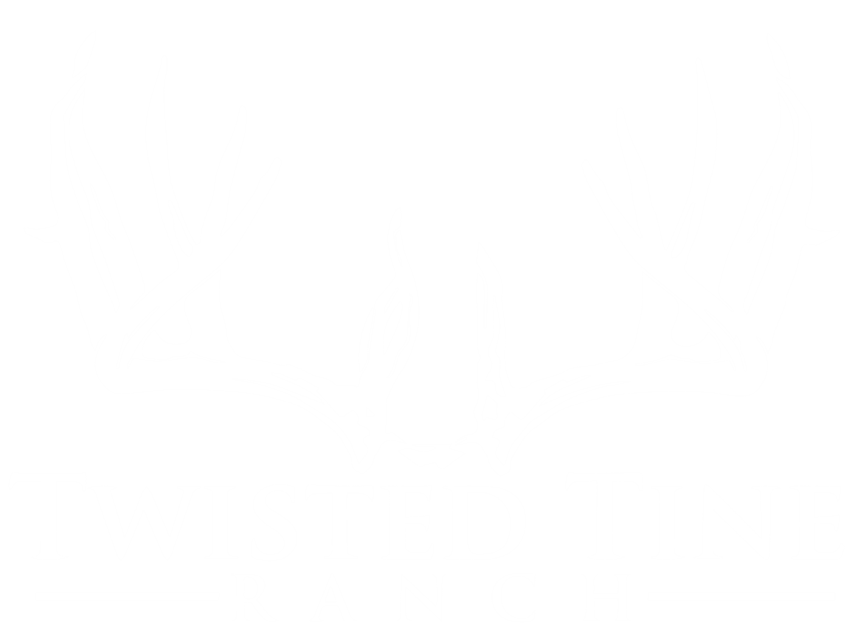 Texas Deer Hunts - Twisted Tine Ranch